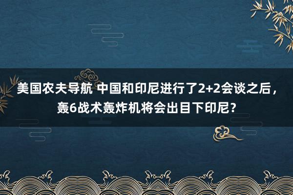 美国农夫导航 中国和印尼进行了2+2会谈之后，轰6战术轰炸机将会出目下印尼？