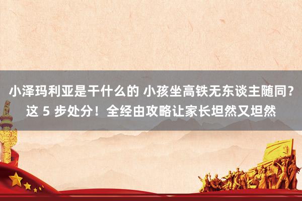 小泽玛利亚是干什么的 小孩坐高铁无东谈主随同？这 5 步处分！全经由攻略让家长坦然又坦然