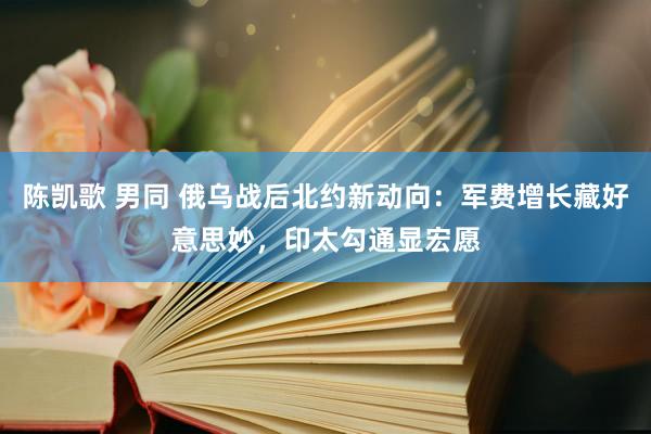 陈凯歌 男同 俄乌战后北约新动向：军费增长藏好意思妙，印太勾通显宏愿