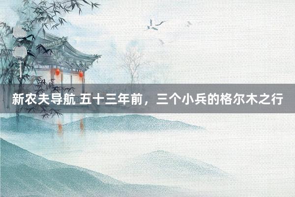 新农夫导航 五十三年前，三个小兵的格尔木之行