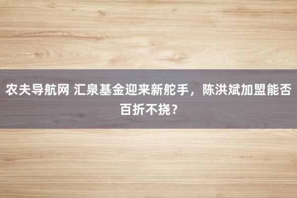 农夫导航网 汇泉基金迎来新舵手，陈洪斌加盟能否百折不挠？