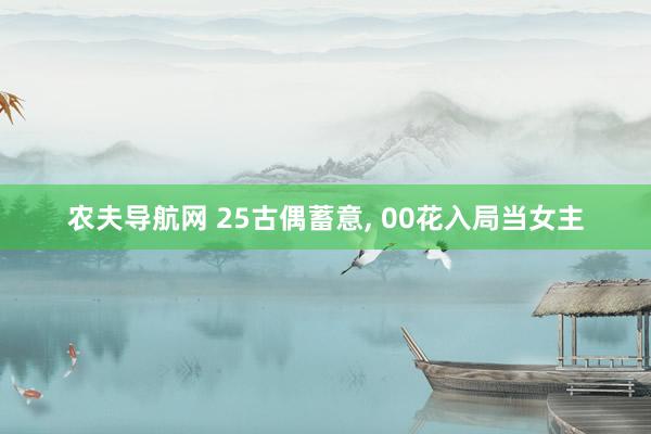 农夫导航网 25古偶蓄意, 00花入局当女主