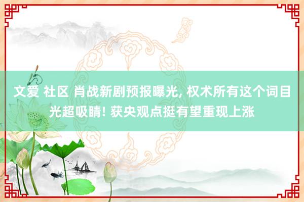 文爱 社区 肖战新剧预报曝光, 权术所有这个词目光超吸睛! 获央观点挺有望重现上涨