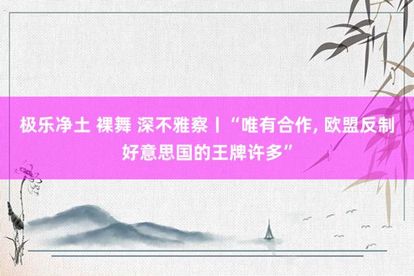 极乐净土 裸舞 深不雅察丨“唯有合作， 欧盟反制好意思国的王牌许多”