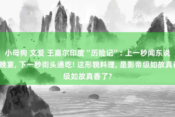小母狗 文爱 王嘉尔印度“历险记”: 上一秒闻东说念主晚宴， 下一秒街头通吃! 这形貌料理， 是影帝级如故真香了?