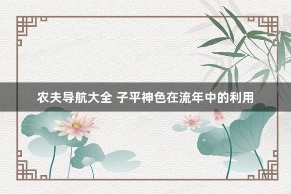 农夫导航大全 子平神色在流年中的利用