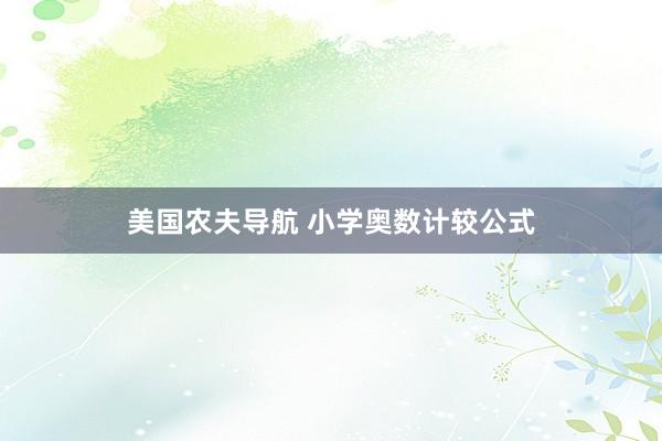 美国农夫导航 小学奥数计较公式