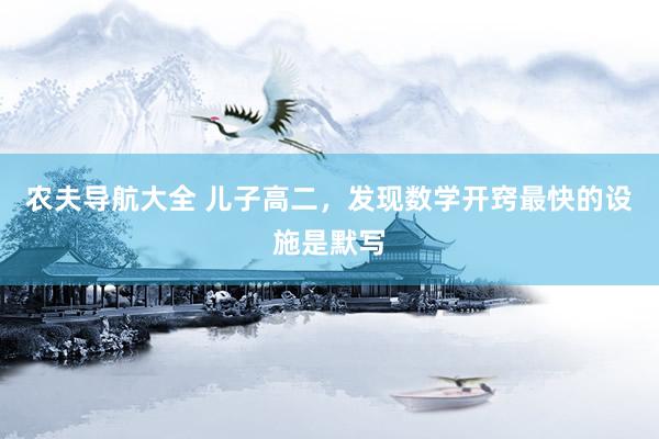 农夫导航大全 儿子高二，发现数学开窍最快的设施是默写