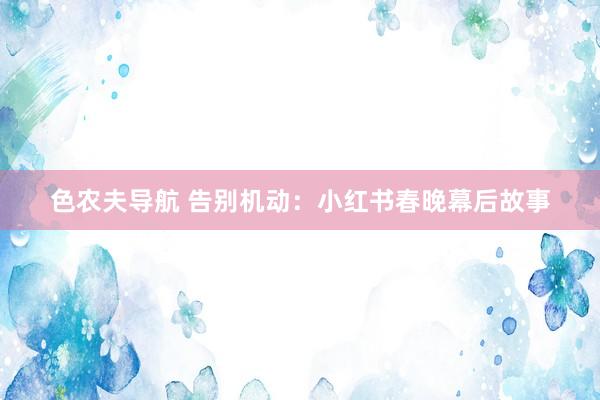 色农夫导航 告别机动：小红书春晚幕后故事
